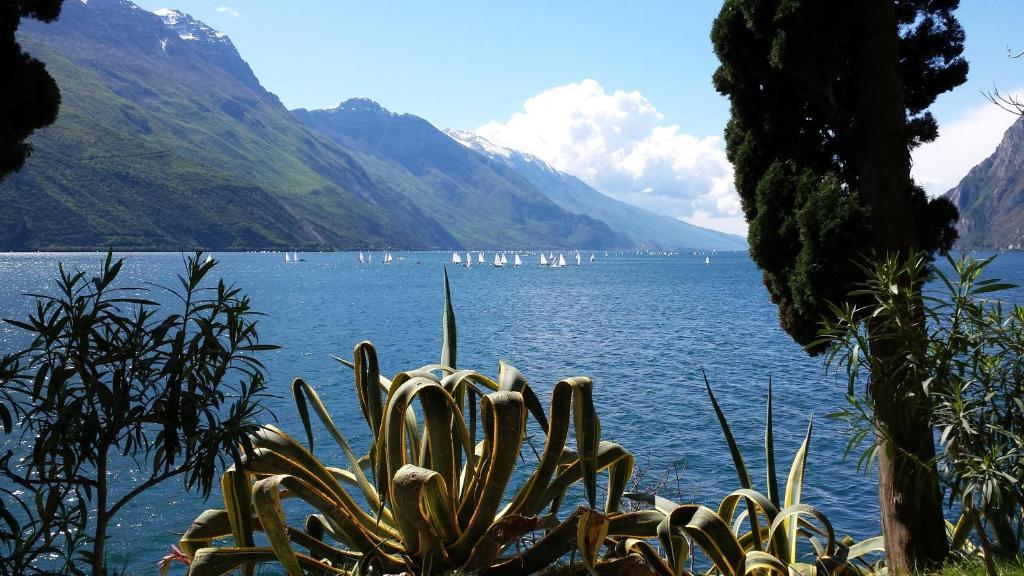 Hotel Angelini Torbole Sul Garda Exterior photo